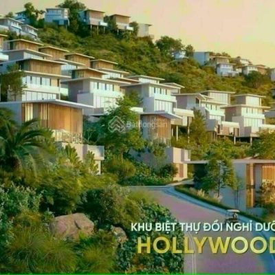 hollywood hills