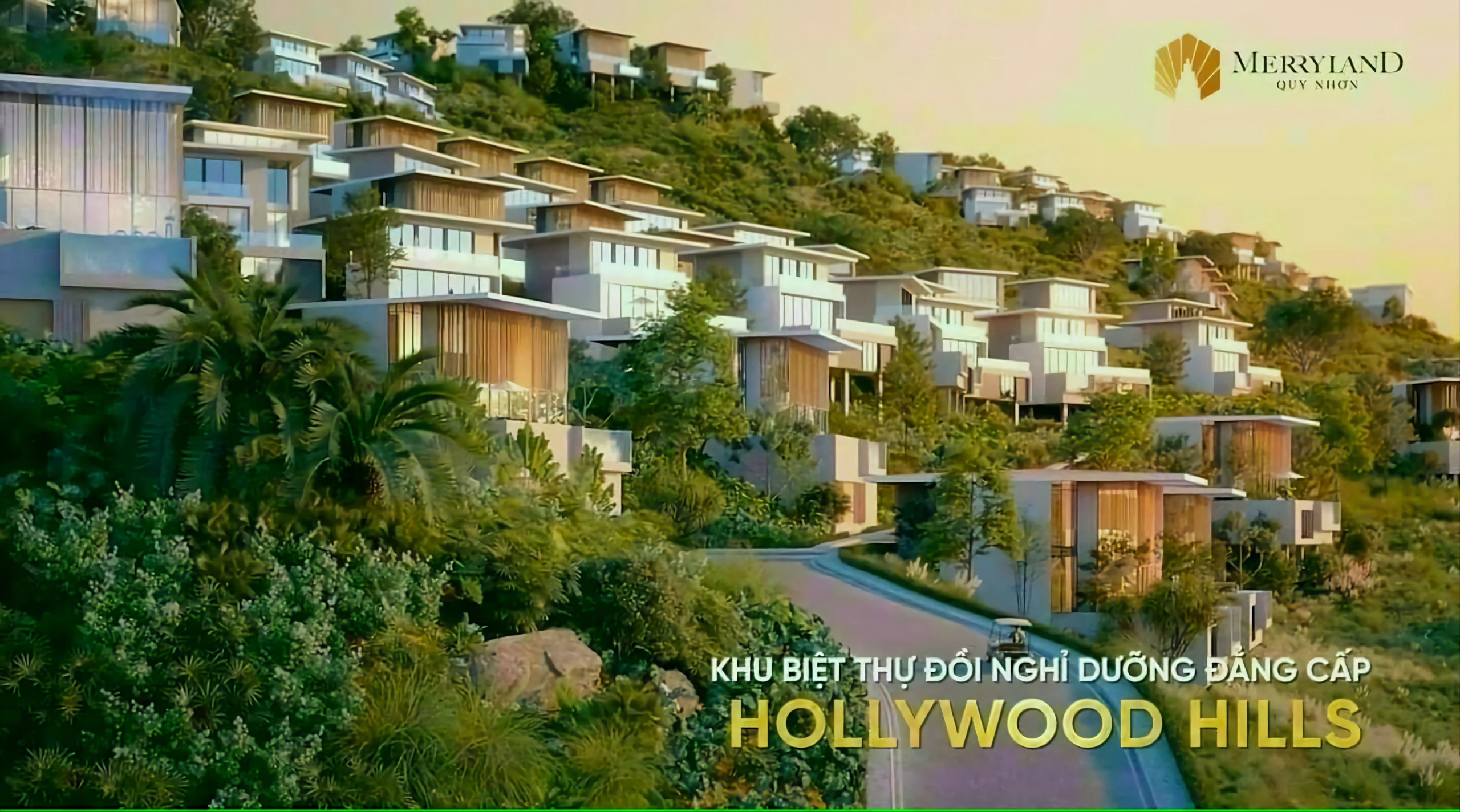 hollywood hills